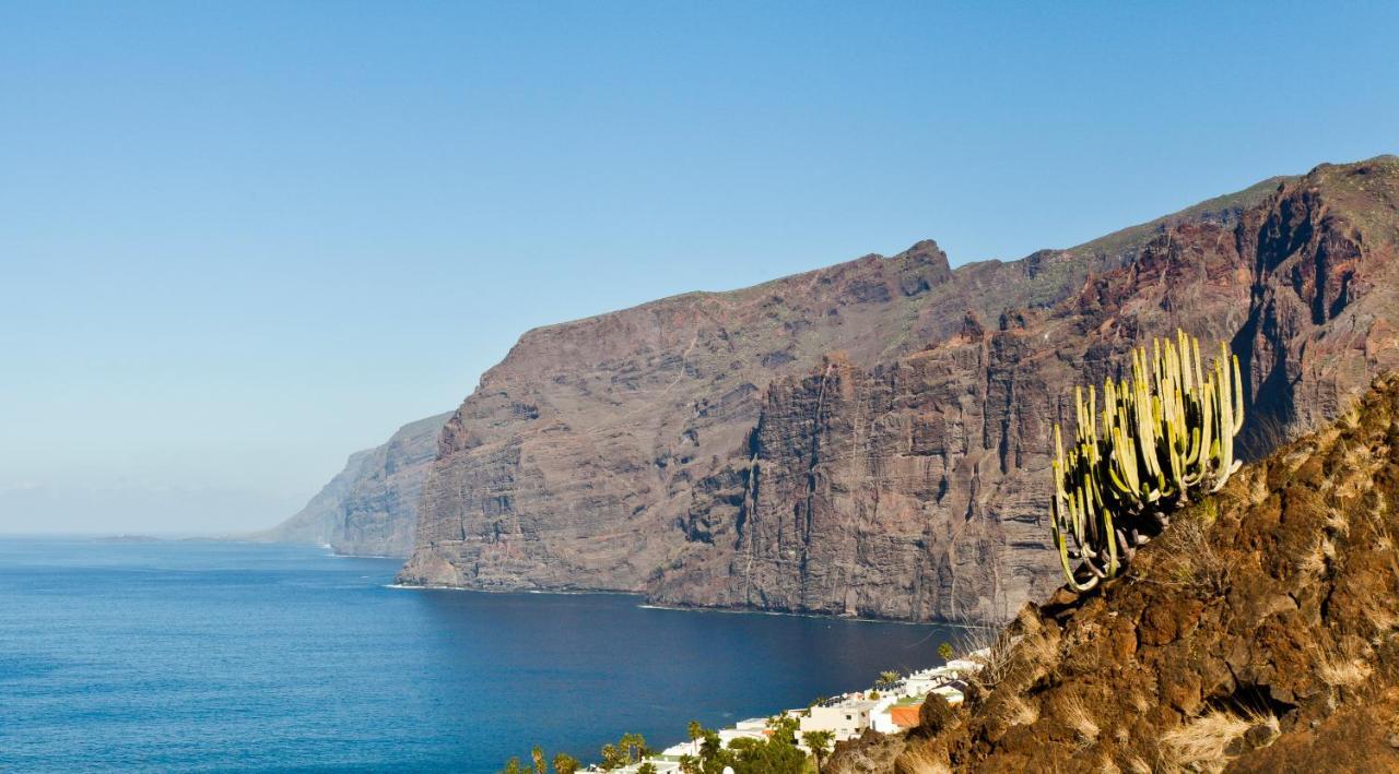 Green Cactus Cosy Loft, Wifi & Gym Santa Cruz de Tenerife Ngoại thất bức ảnh
